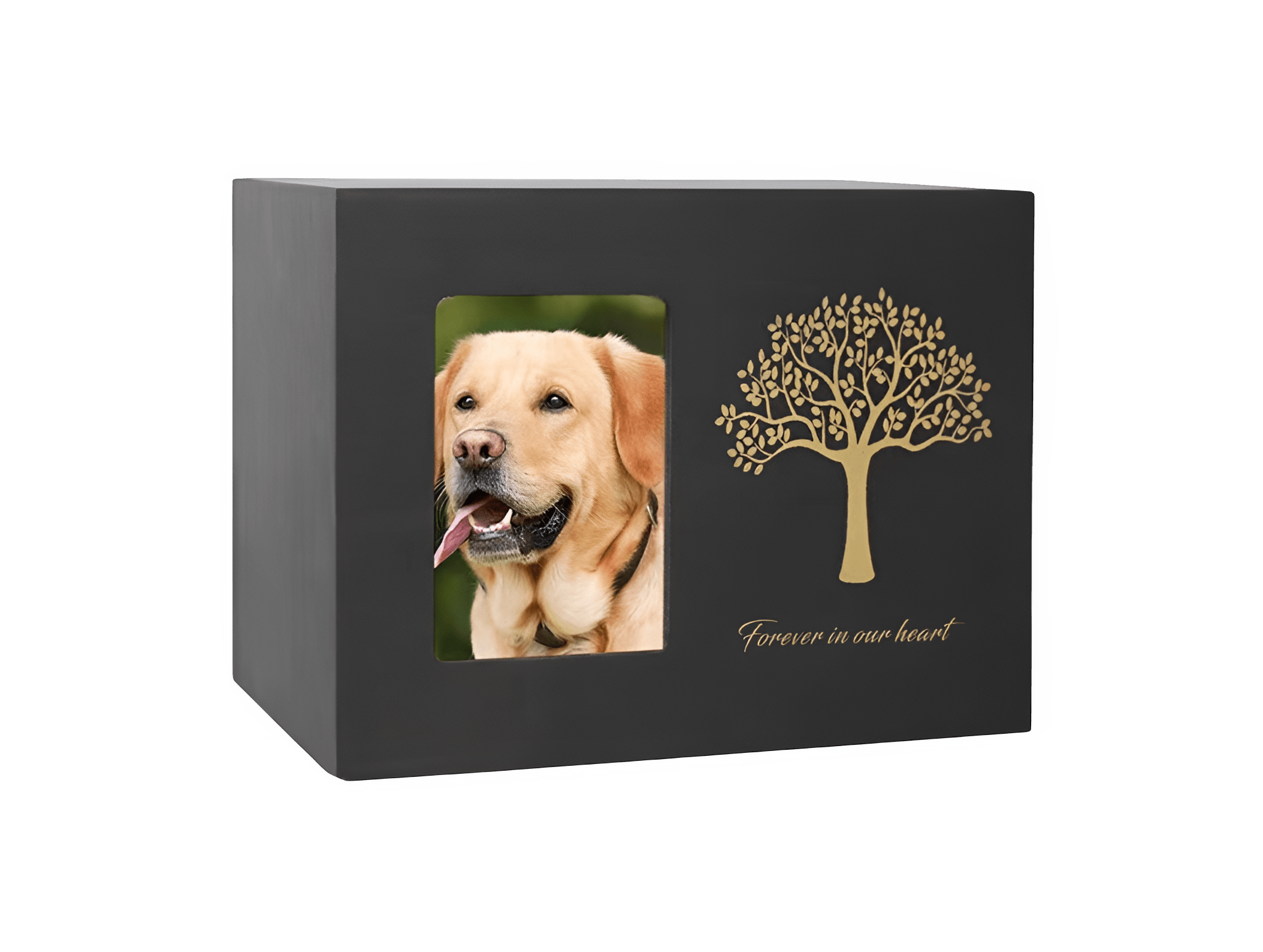 Zwarte houten urn met foto van labrador en gouden levensboom, tekst: forever in our heart