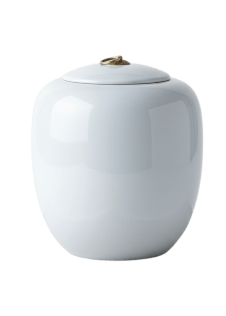 Witte glanzende keramische urn, ovale vorm, met een gouden ring op de deksel