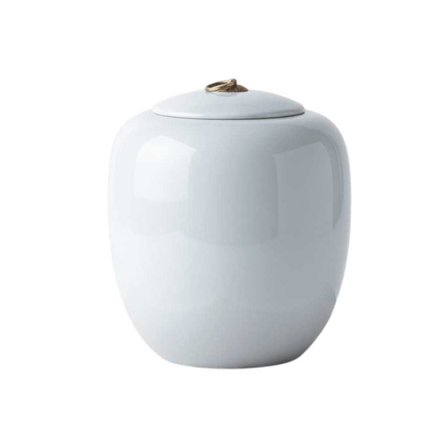 Witte glanzende keramische urn, ovale vorm, met een gouden ring op de deksel